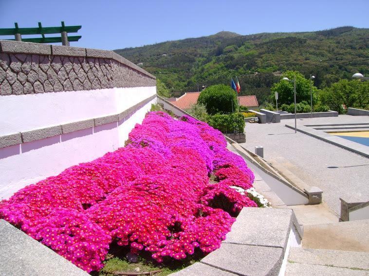 Miradouro Da Serra Monchique Buitenkant foto